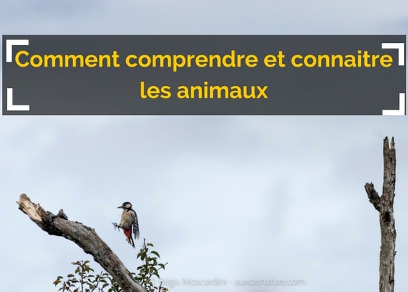 Bien connaitre les animaux